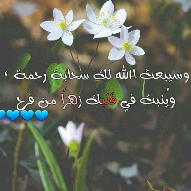 اقتباسات دينية❤️