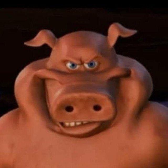 FOGOXEDITS