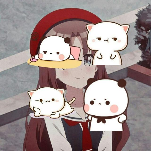 Stiker/Foto Panda Kucing gemoy dan pp couple