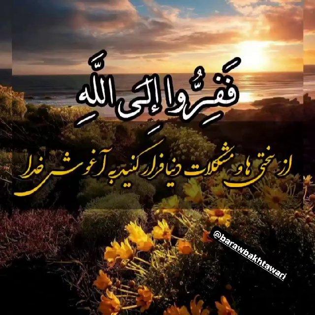 🌼بەرەو بەختەوەری🌼