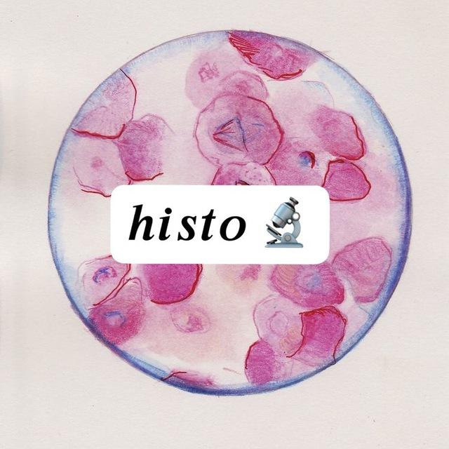 Histology 1st year - zliten ꕤ