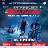 VinFederationTriathlon