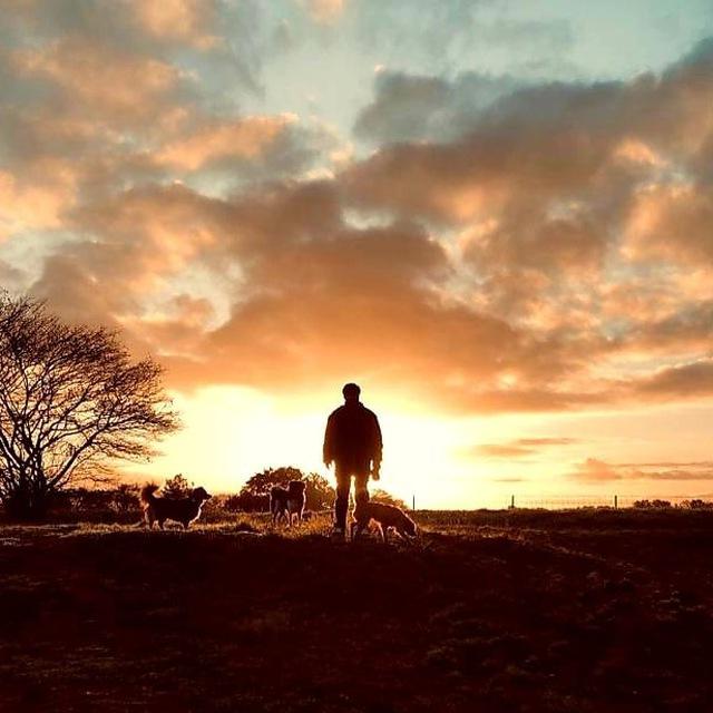 The Wanderer - Tribe