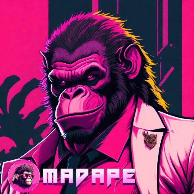 MadApeZeus chad degens 📉📈