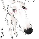 disegni di nonna :)