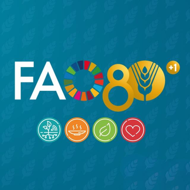FAO Cambodia Bulletin
