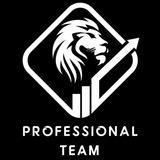 تيم المحترفين :: PROFESSIONAL TEAM
