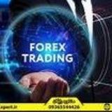 🧿 forex GOLD💰