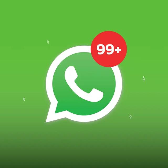 Whatsapp群发、代发【ws群发】