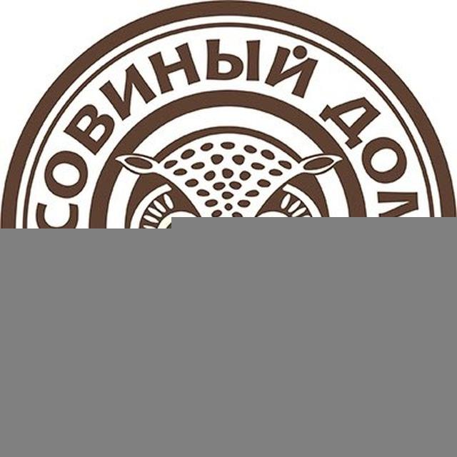 Совиный Дом Рижская