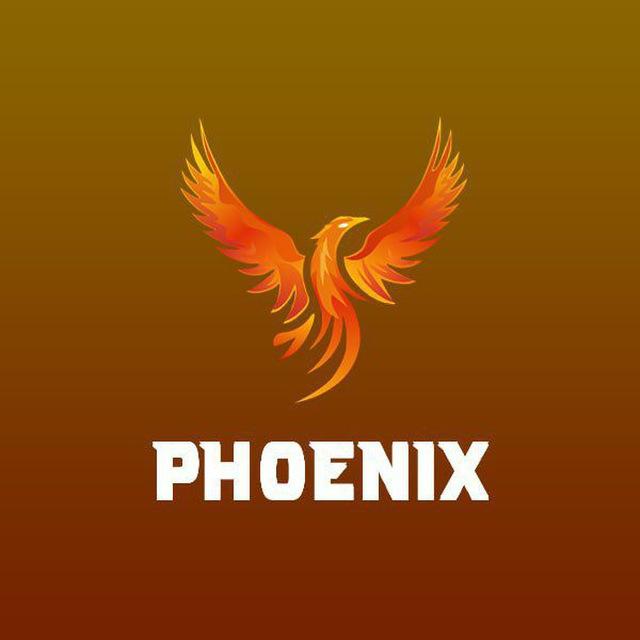 Phoenix 2D3D Channel