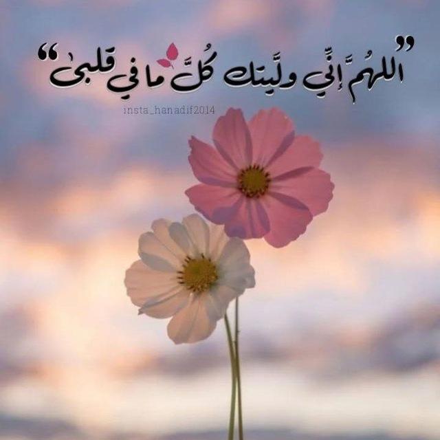 🩵بستان الأمنيات|🌨للاطمئنان