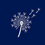 Dandelion Solidarity