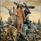🐺Weg des Schamanismus🦅