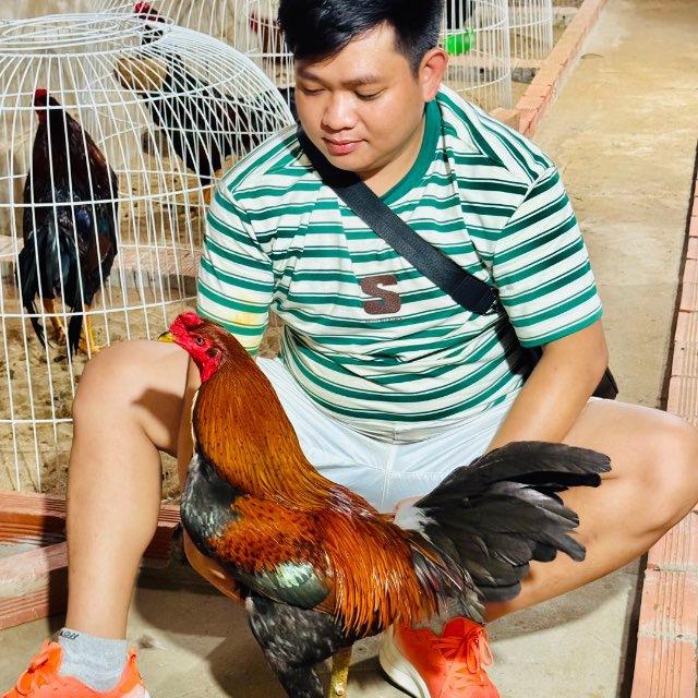 បក្សី ប្រយុទ្ធ. Seav Menghor ❤️🐓👍👍