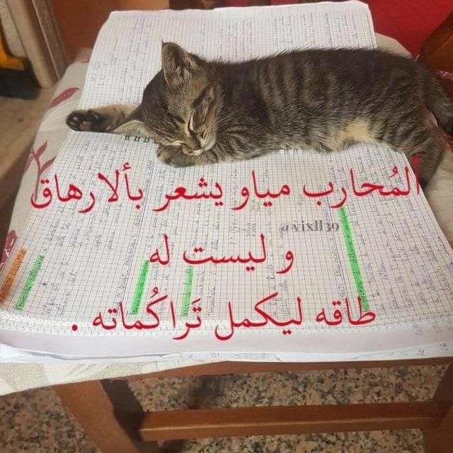 قدرات ثانوي 💞 .