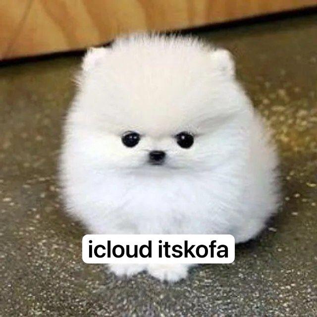 icloud itskova