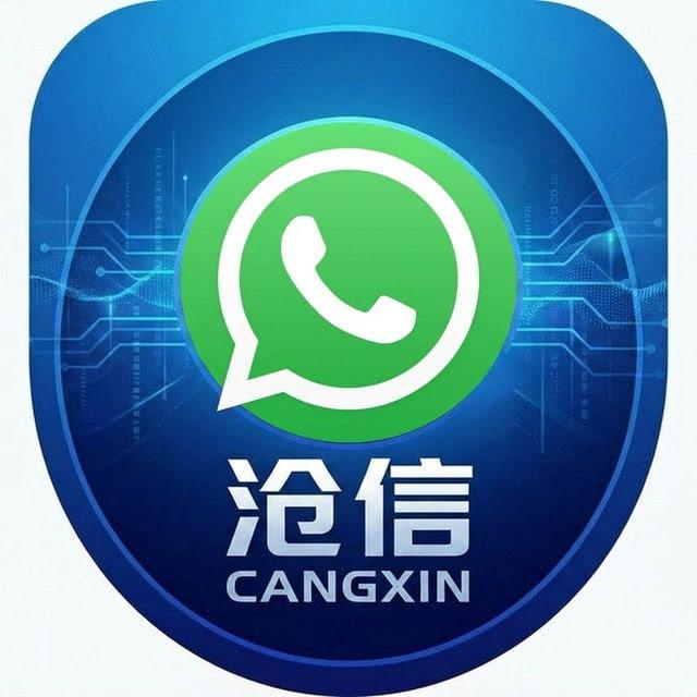 沧信WS超链 实力机房 行业第一 06