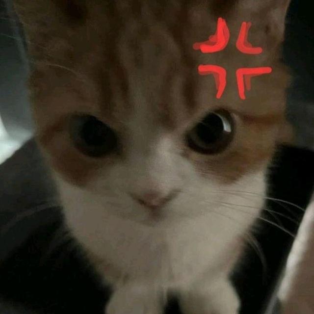 ميمز عضولة💢.