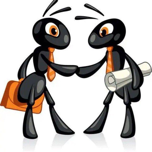 🐜中国移动充值卡、🐜京东e卡、🐜中石化卡🐜卡劵核销蚂蚁工作室承兑🐜