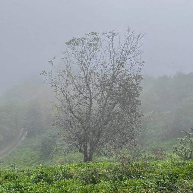 تیکه های زندگی