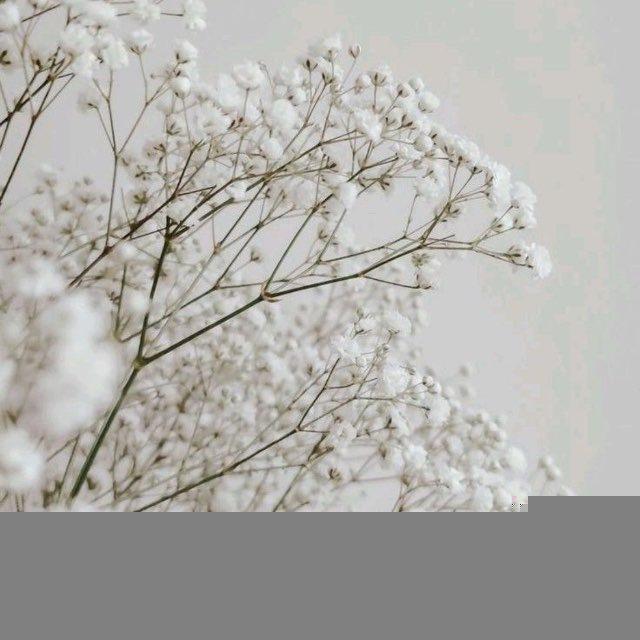 Песни души🕊️