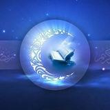 عبد الرحمن مسعد ©