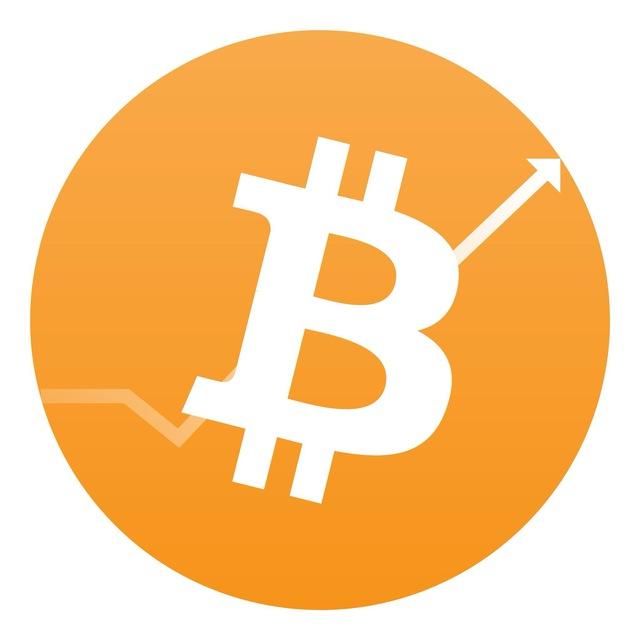 The Bit Wealth