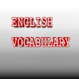New Words Daily