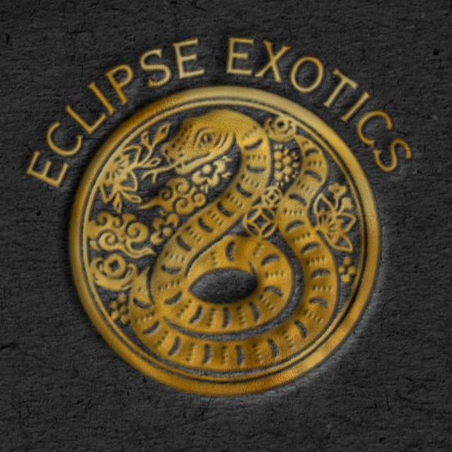 Eclipse Exotics