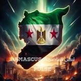 الربح من الانترنت