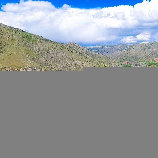 نگڵ زێڕی کوردستان