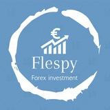 FLESPY LLC TRADER
