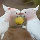 اسرارالحياه الزوجيه للمتزوجات والمقبلاات عل الزواج👩‍❤️‍👨