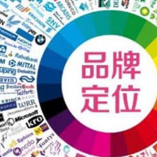 海外岗位(现场居家远程)+签证机构