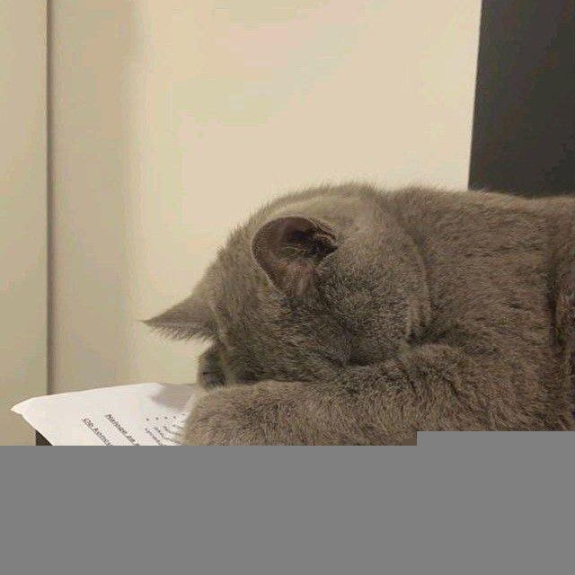 أثرنا🫧