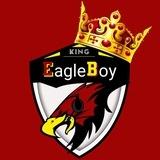 EagleBoy Official