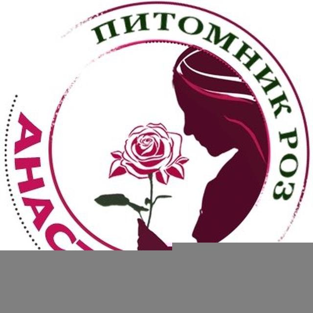 Питомник саженцев роз Анастасия