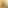 Gold Booster