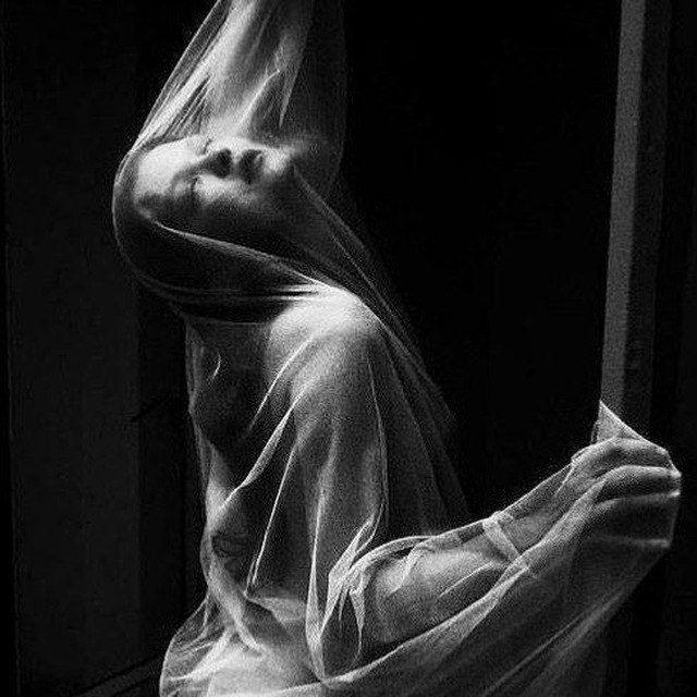 VIISCERE.