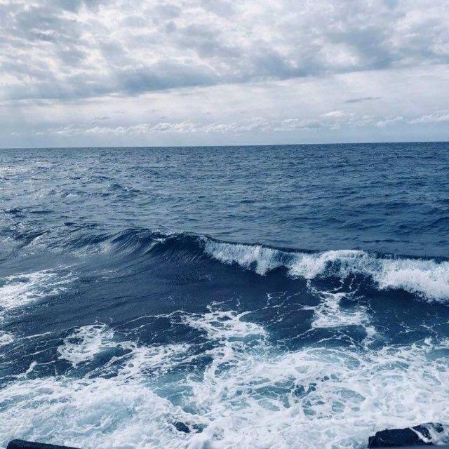 🌊