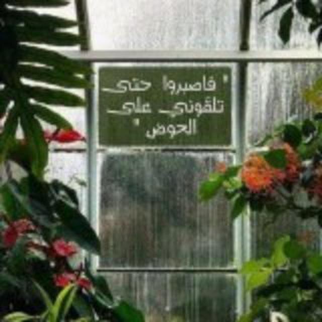 رَآنَ. 𓂆