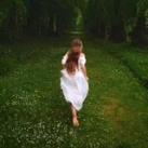 Nature video clips🌹🍁🍂