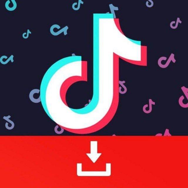 @downloader_tiktok