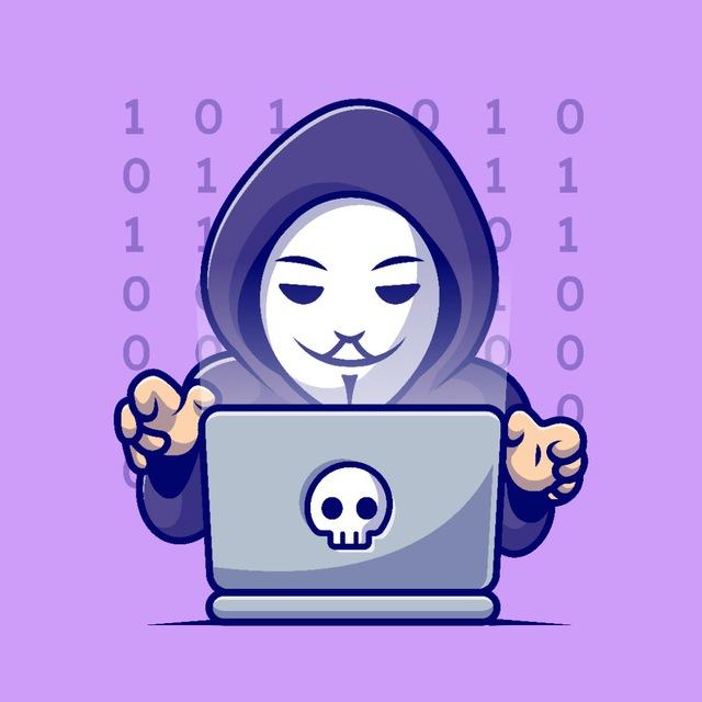 Hackers hub , Cybersecurity , Free Hacking courses, CTFs