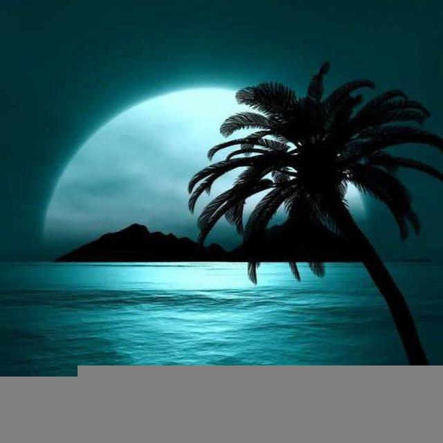 جزیره جغرافیا 🏝