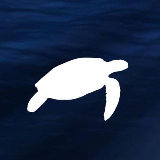 Plastic Free Onlus
