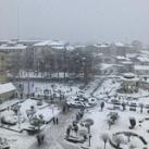 کراش یابی دانشگاه آزاد رشت