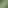 تعليمات 🌳 غَابَة جَبَل ⛰️