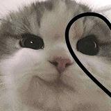 𝑺𝒐𝒏𝒈🎧ྀི♪⋆.